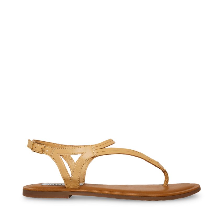 Beige Steve Madden Sydney Women\'s Flat Sandals | PH 1806TAW